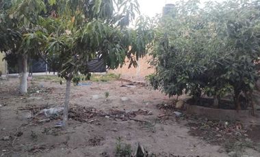 Terreno a 5 minutos de CUCEA