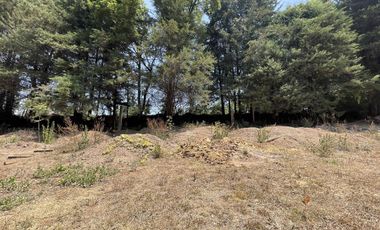 Terreno en renta en Loma de Rodriguez, Acatitlan