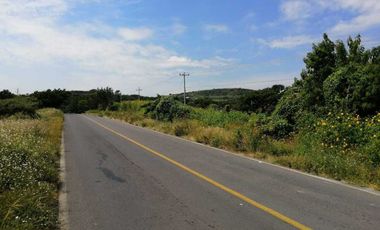 VERDADERA OPORTUNIDAD, TERRENO EN VENTA POR CHAPALA MEZCALA.