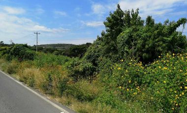 VERDADERA OPORTUNIDAD, TERRENO EN VENTA POR CHAPALA MEZCALA.