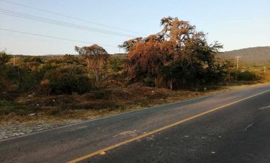 VERDADERA OPORTUNIDAD, TERRENO EN VENTA POR CHAPALA MEZCALA.