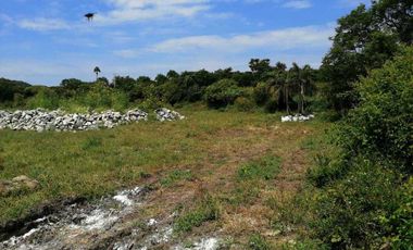 VERDADERA OPORTUNIDAD, TERRENO EN VENTA POR CHAPALA MEZCALA.