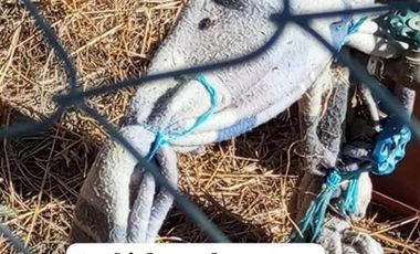 Parcela en Venta en La estrella pichilemu