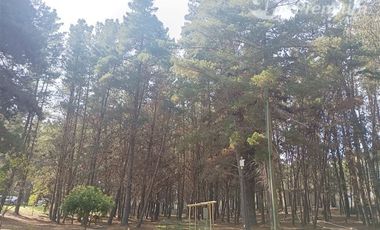 Departamento en Venta en Litoral de Los Poetas