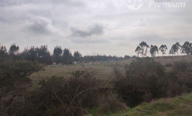 Agrícola en Venta en Quillaicillo