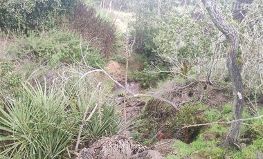 Agrícola en Venta en Quillaicillo