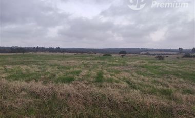 Agrícola en Venta en Quillaicillo