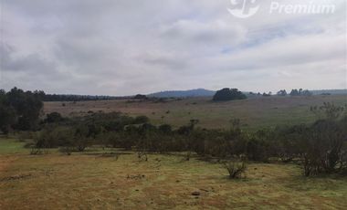 Agrícola en Venta en Quillaicillo