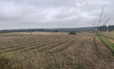 Agrícola en Venta en Quillaicillo