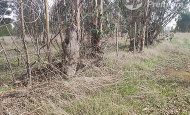 Agrícola en Venta en Quillaicillo