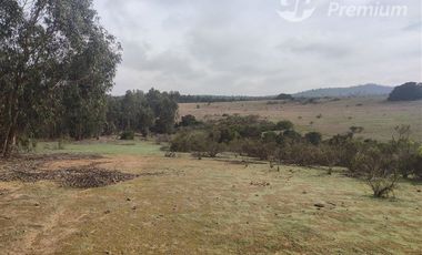 Agrícola en Venta en Quillaicillo