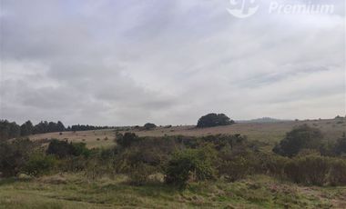 Agrícola en Venta en Quillaicillo