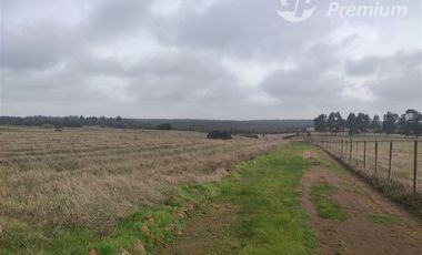 Agrícola en Venta en Quillaicillo