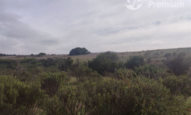 Agrícola en Venta en Quillaicillo