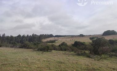 Agrícola en Venta en Quillaicillo