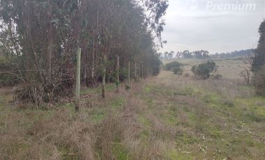 Parcela en Venta en Quillaicillo