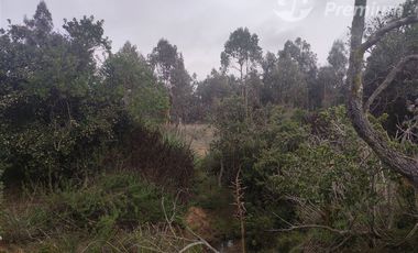 Parcela en Venta en Quillaicillo