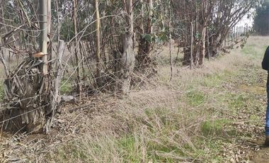 Parcela en Venta en Quillaicillo