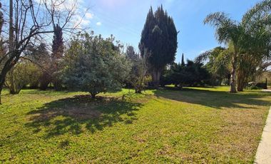 QUINTA 20 DE JUNIO