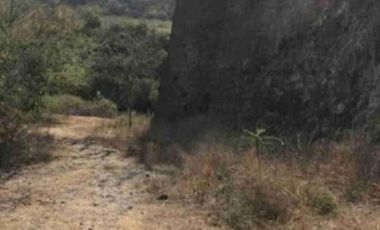 Terreno comercial - Pueblo Amacuzac