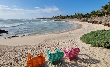 Zamas Tulum