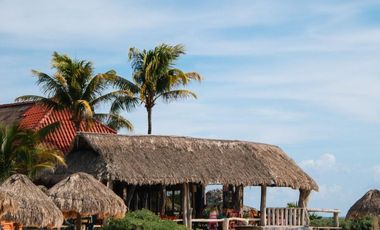 Zamas Tulum