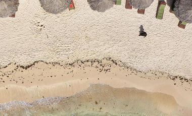 Zamas Tulum