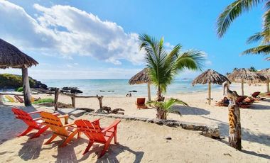 Zamas Tulum