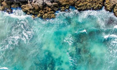 Zamas Tulum
