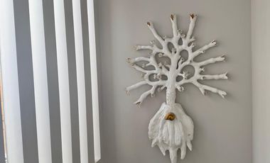Casa de Ensueño en Jicuri Zibata