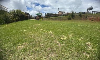 🏡 FINCA EN VENTA UBICADA EN EL CARMEN DE VIBORAL SECTOR LA PALMA