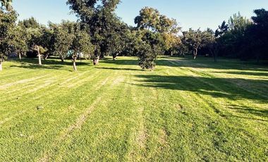 Casa En Venta De 4 Dorm. En Peñaflor