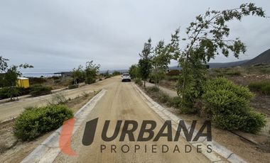 SITIO EN CONDOMINIO LAS MOSTAZAS, GUANAQUEROS