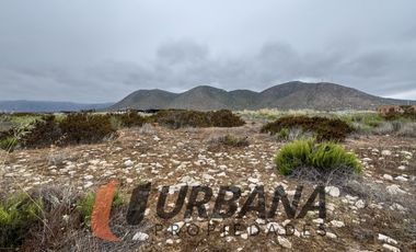 SITIO EN CONDOMINIO LAS MOSTAZAS, GUANAQUEROS