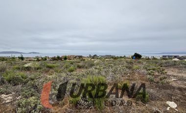 SITIO EN CONDOMINIO LAS MOSTAZAS, GUANAQUEROS