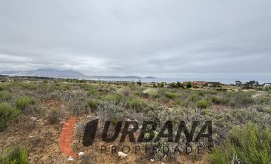 SITIO EN CONDOMINIO LAS MOSTAZAS, GUANAQUEROS