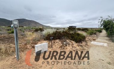 SITIO EN CONDOMINIO LAS MOSTAZAS, GUANAQUEROS