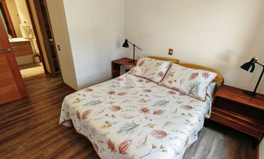 DEPARTAMENTO A PASOS DEL CENTRO
