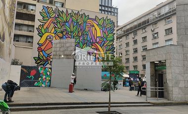 BARRIO BELLAS ARTES, PARQUE FORESTAL HOME STUDIO