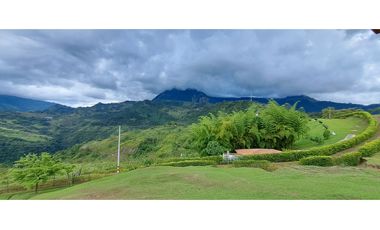 VENDO FINCA VENECIA ANTIOQUIA