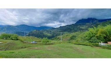 VENDO FINCA VENECIA ANTIOQUIA