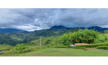 VENDO FINCA VENECIA ANTIOQUIA