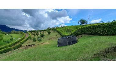 VENDO FINCA VENECIA ANTIOQUIA