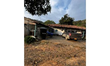 SE VENDE FINCA  ENTRE  LA VIRGINIA  Y SANTUARIO