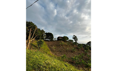 SE VENDE FINCA  ENTRE  LA VIRGINIA  Y SANTUARIO