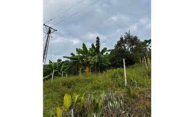 SE VENDE FINCA  ENTRE  LA VIRGINIA  Y SANTUARIO