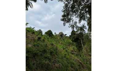 SE VENDE FINCA  ENTRE  LA VIRGINIA  Y SANTUARIO