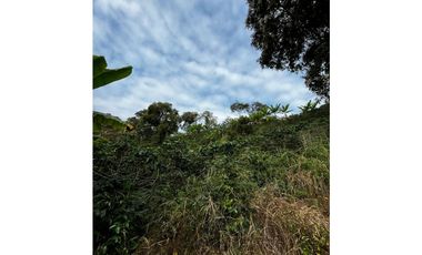 SE VENDE FINCA  ENTRE  LA VIRGINIA  Y SANTUARIO