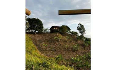 SE VENDE FINCA  ENTRE  LA VIRGINIA  Y SANTUARIO