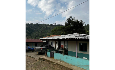 SE VENDE FINCA  ENTRE  LA VIRGINIA  Y SANTUARIO